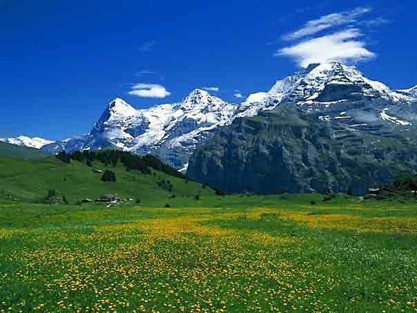 Breithorn Peak