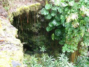 Lava Cave