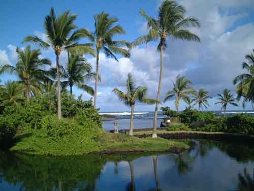 Kapoho Lagoon