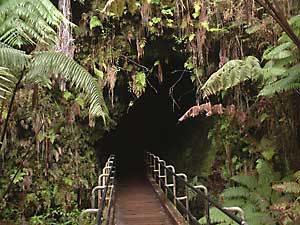 Lava Tube