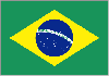 Brazilian Flag