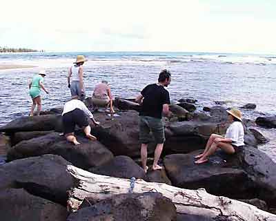 Searching for petroglyphs