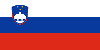 Slovenian Flag