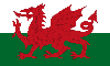 Welsh Flag